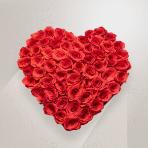 100 Roses